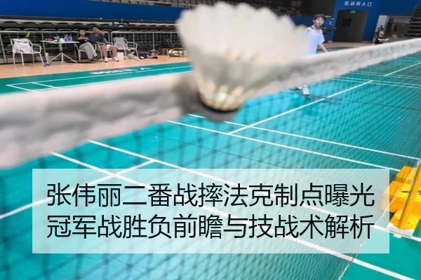 张伟丽二番战摔法克制点曝光 冠军战胜负前瞻与技战术解析